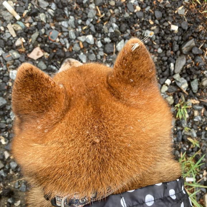 213e3b59 df59 4fee a848 959ebde1b042 1682498010890