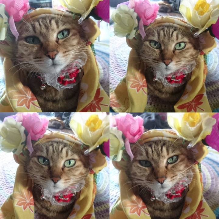 213e4178 4e94 4b45 8057 f48926d571aa 1758061350524