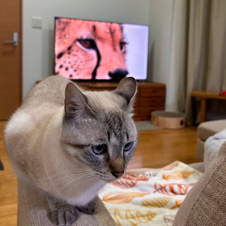 213e4bba 3390 4a26 8bc9 cde9a811daac 1762171097707