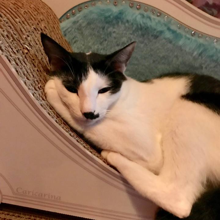 213e53b3 d9b8 4a4d 9bef 2f2a29d9d48d 1539300659494