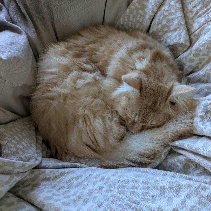 213e9d3c 9c48 4aa6 b090 065674fdd4d1 1732250452620