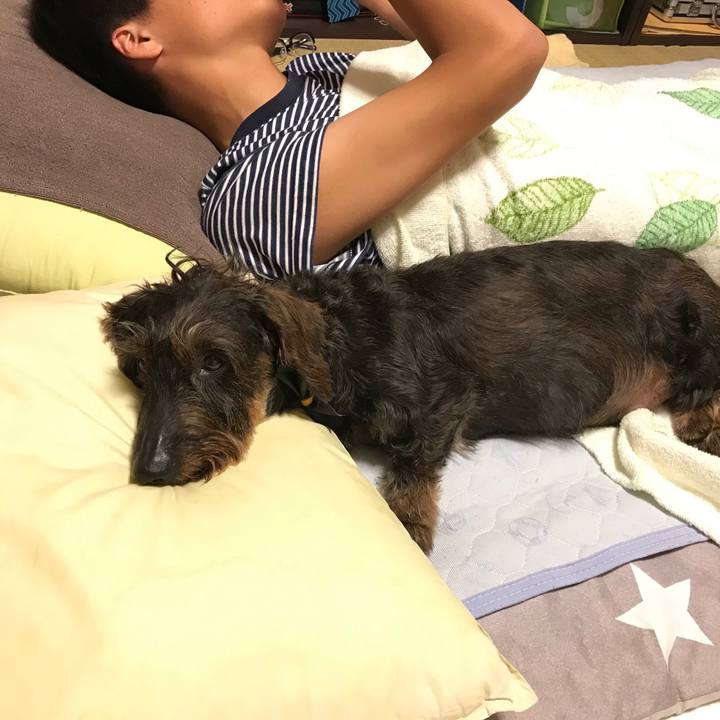 213eca86 8942 46ac a9e1 00b6f7edfba3 1563030744460