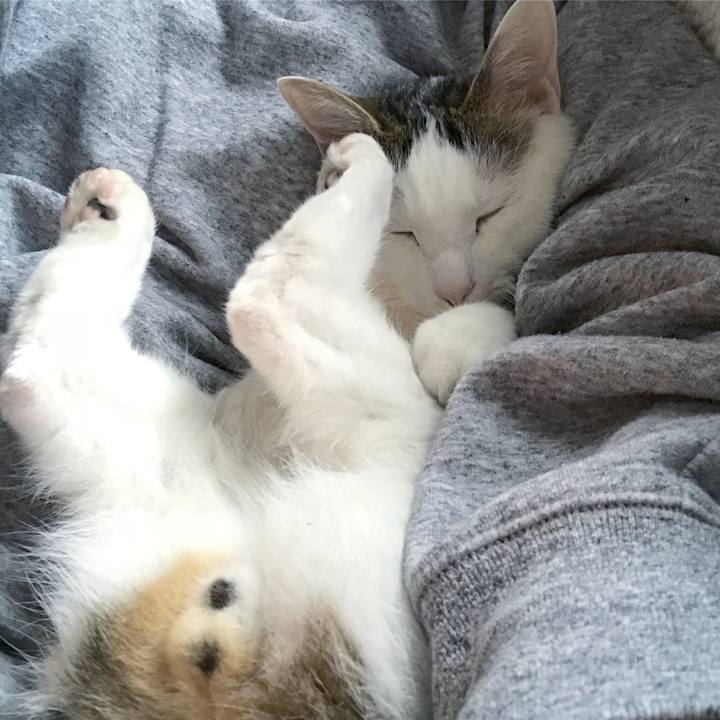 213ecda7 ecfd 4b2b 8573 02a92795814e 1524660104607