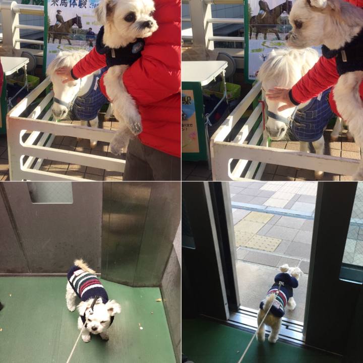 213ee9ff 2a7e 4ede 9b42 dba9303e82fe 1545654229153