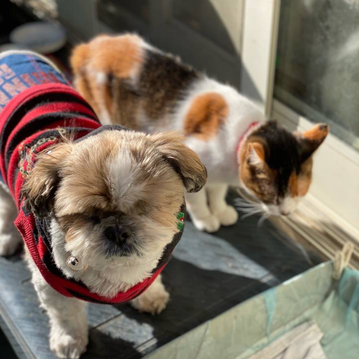 213efcae 1f3c 45ee b0ef 09fd84a09167 1639889631845