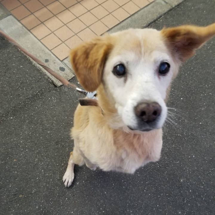 213efd63 1c58 4f5d b7a8 d83a1378c62f 1666907345576