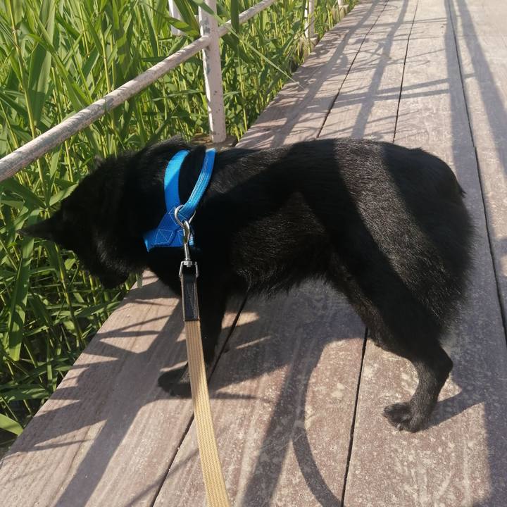 213f2ab9 7eb5 4032 a2a6 d866f1facf63 1621729174077