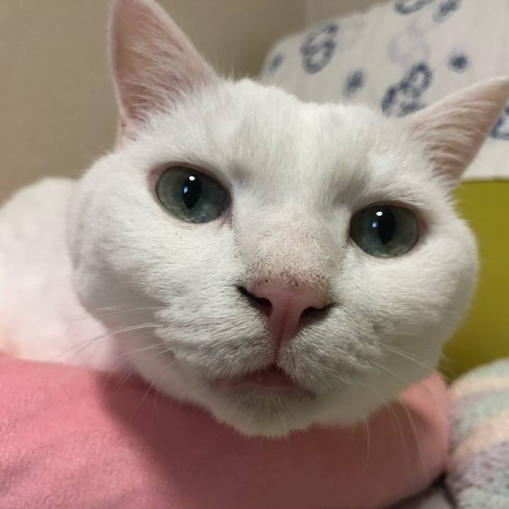 213f345a 7971 45d4 8f53 75265a08bbff 1628304474111