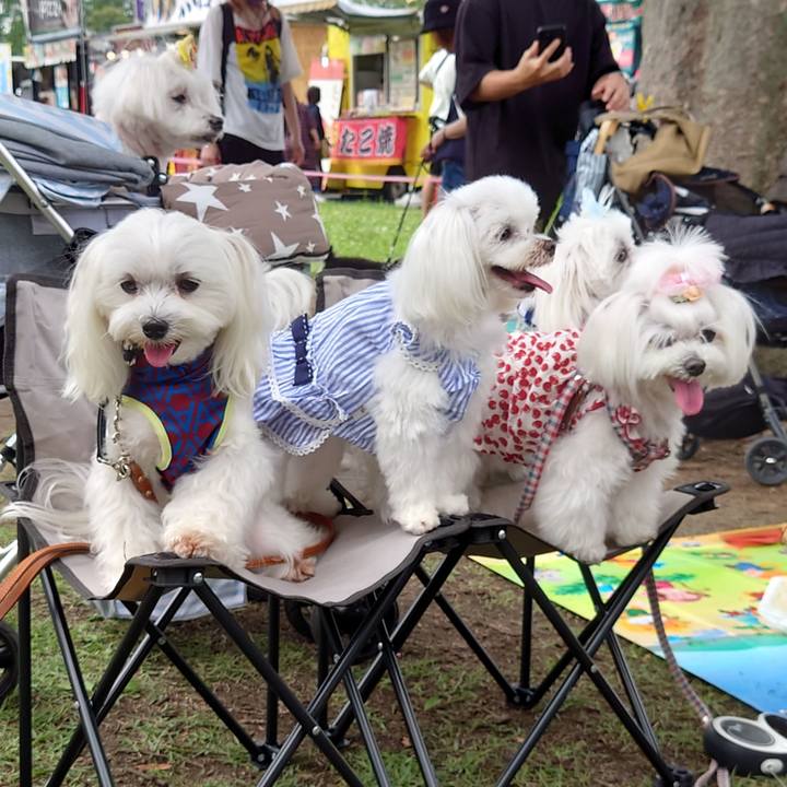 213f3820 b00c 4037 b95e ff9e1d9e415a 1687701627006