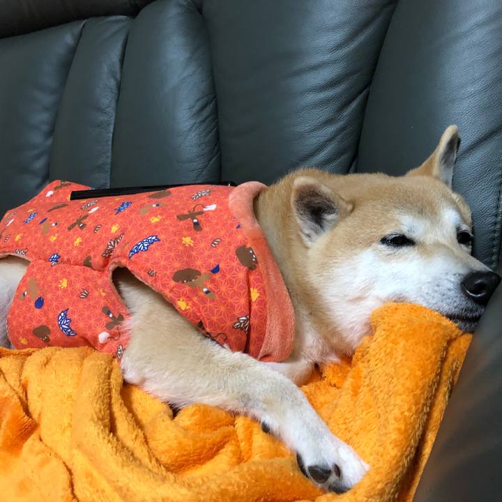 213f3a4d 1920 4c8c aac5 f951a965472b 1579094651919