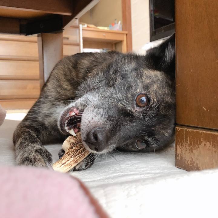 213f82ad 79e7 4566 8c41 6e26b6a7d142 1573623559448