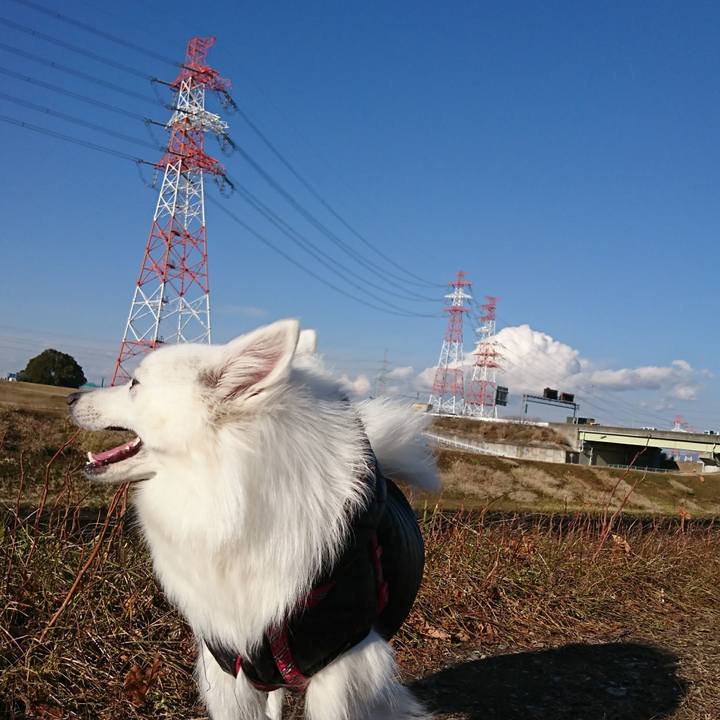 213f8880 5e44 4d6a ac2f 1caa2a8a8dc4 1518072780029