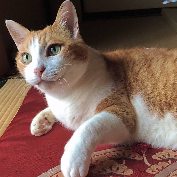 213f944c 891c 45b0 a435 5781d3f72f8f 1596856619352