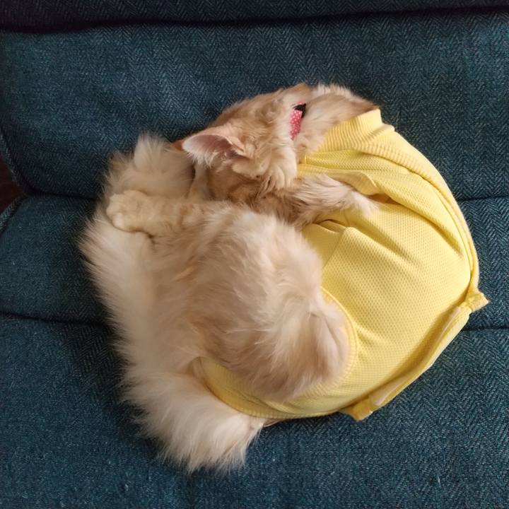 213fd3fe eb32 4c73 baea 6ec98e041e5e 1614820670571