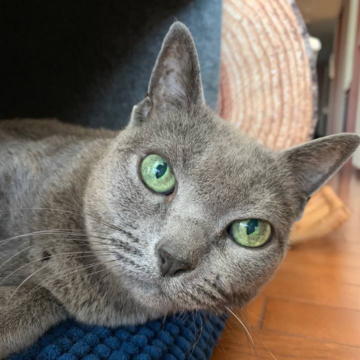 213fefc9 adfe 47f3 a543 c1f6c7ae3668 1551997882781