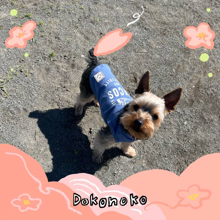 2140888b 837f 4e0f 95d9 fdf0b0b0cd59 1775609231132