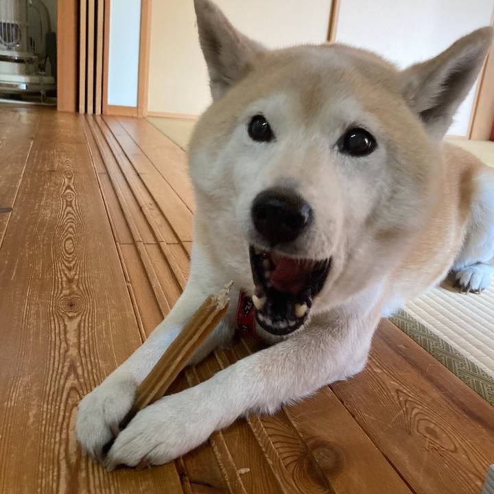 2140ce40 96b8 495f 9173 418b4e31618d 1636292857613