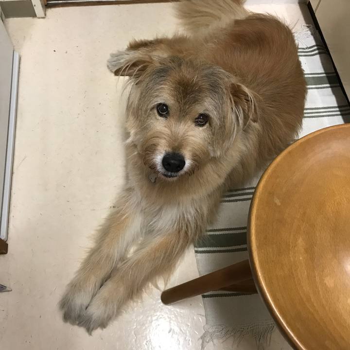 21413c43 9da7 4972 a9a8 69215f360059 1624885672058