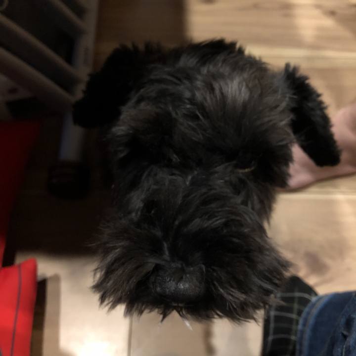 21413e95 afa1 43c3 ae98 cc3cd6732db4 1576926445655