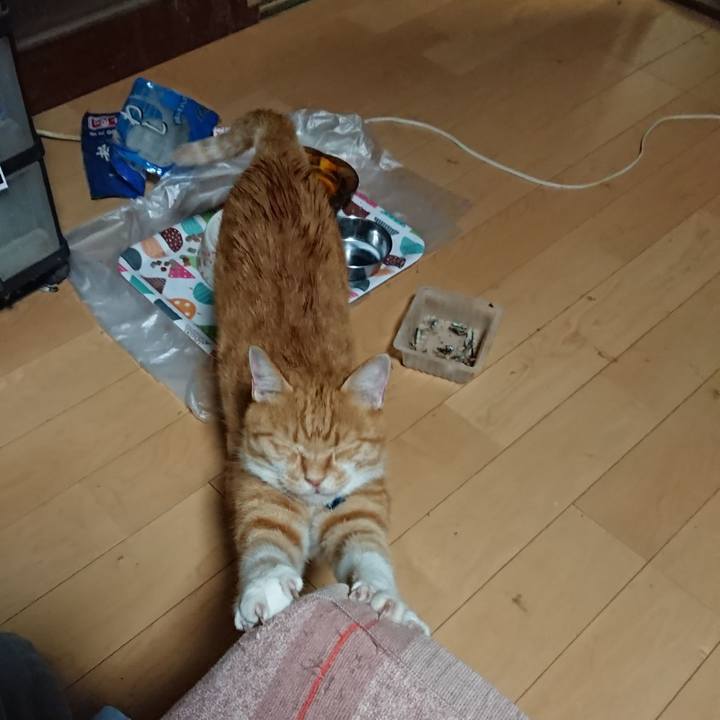 214146d6 f874 401d a7ce a0a7323cd889 1599680971316