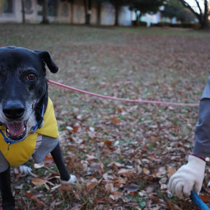 214157a7 3744 4dab 855c 28c48b616349 1766017916868