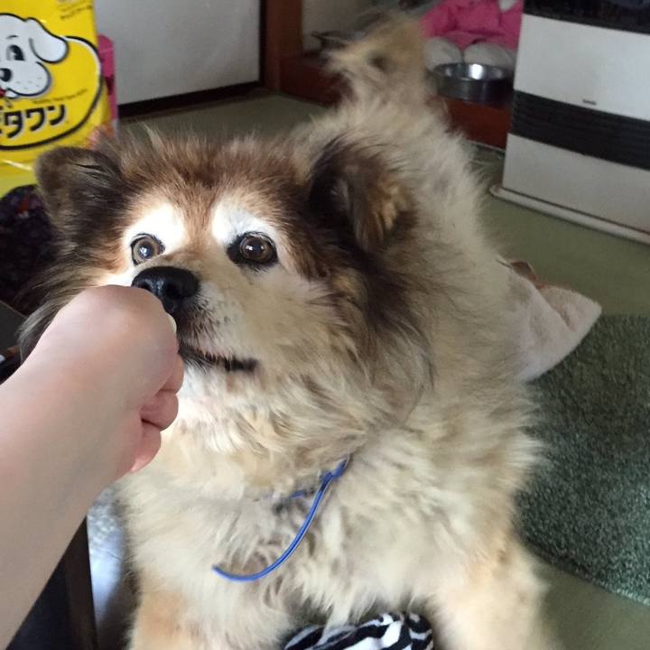 2141a9fc cb12 4688 80bd 7160a0a3372c 1609705784192