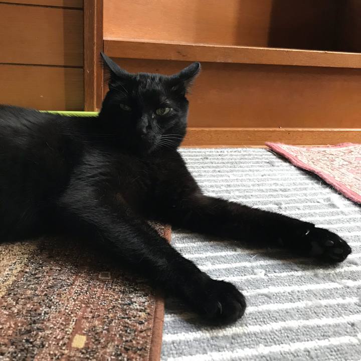 2141e65d 9bb6 44da 89bd d3aa84332575 1528767412017