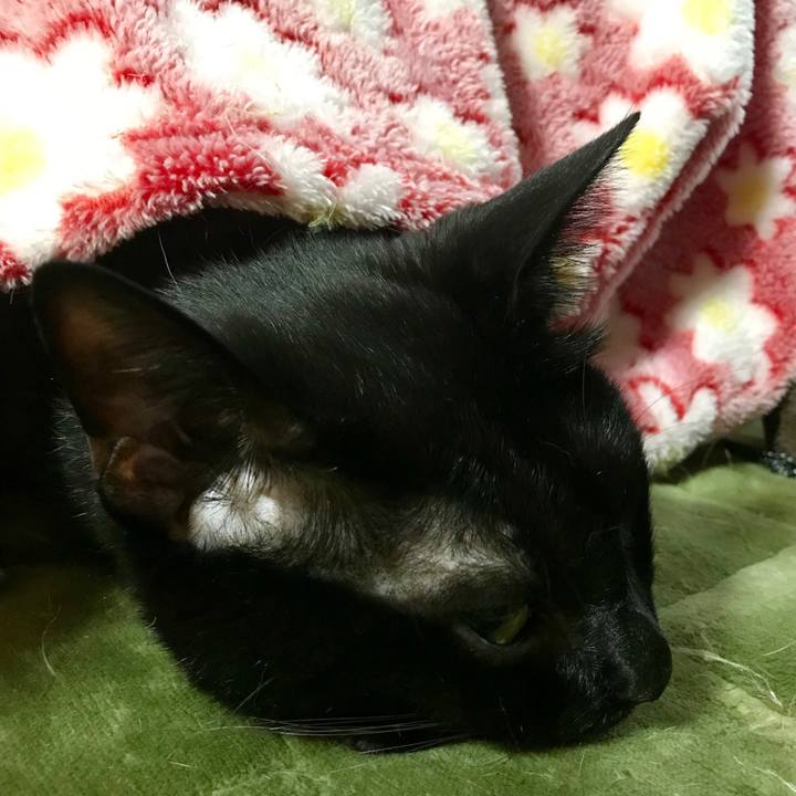 2142580f cedc 45bc a5f5 be22340b4b80 1516438908623