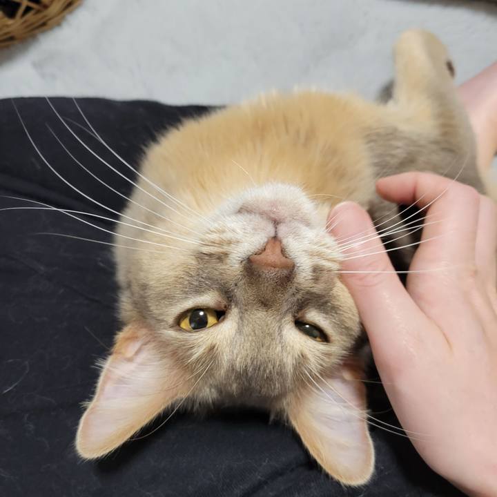 214271bb d3cf 4f1c 9677 ebf8ed2a6d23 1650073433424