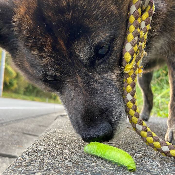 214282d9 cd3b 43f6 8789 268a8d7625e7 1591786629932