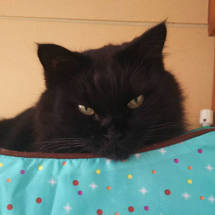 2142bb74 45ee 4f45 87f3 ab2bced5d335 1514525628427