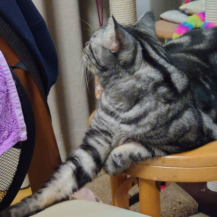 2142c82d 8fd3 454d 9238 b7099ed219ea 1657538663102