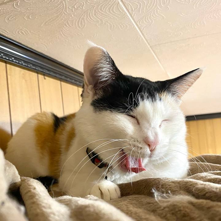 2142d067 aae5 4848 95e8 4579a0613046 1673215614184