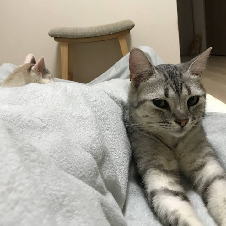 2142fe73 0976 4c4c 95e7 ab0038b5e7a8 1531744835532