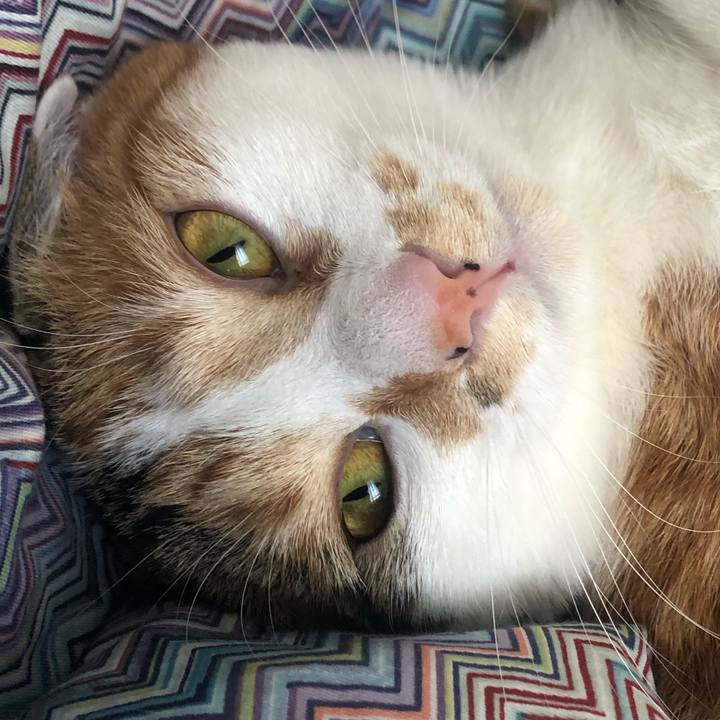 21431847 59b9 4e3a b30d 7033db075526 1588391484993