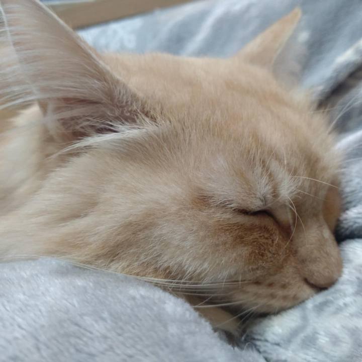 21431df8 80e5 46bc b72f 2f7410f4fb80 1766924987104