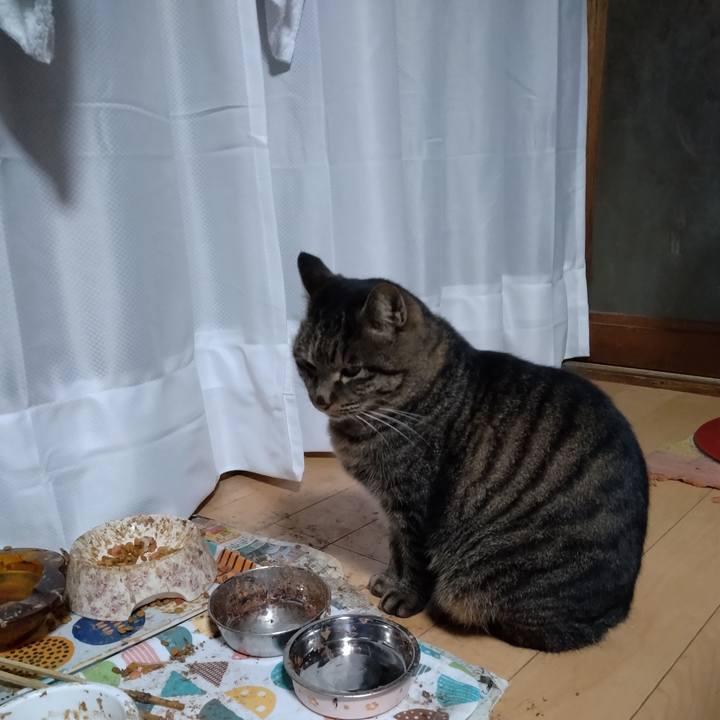 21433e1d 4687 46f5 b48f 69fdbef0e0f5 1670886237001