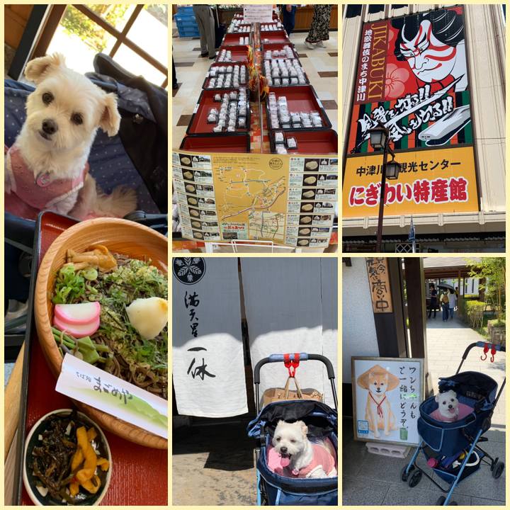 21437aaa 2bce 4079 a656 4a738ffad8ea 1568976341672