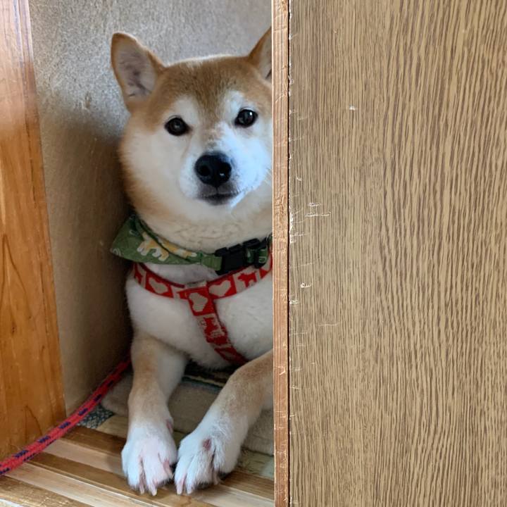 21437f35 ec81 4e0a bec3 43598b5a38f3 1594717833076