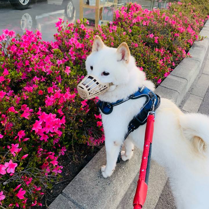 21438b34 c9f2 4972 bab1 b867d139ca33 1654633236928