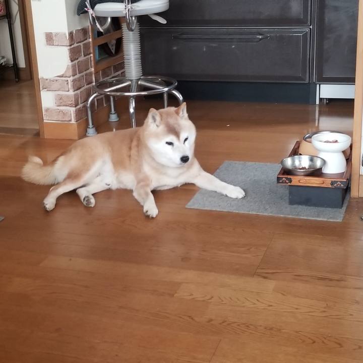 214390ab 37b0 4a38 b371 d1eac099a15b 1742003860773