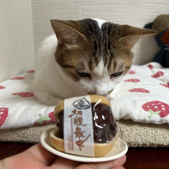 21439675 c252 4a18 95e4 f64e066e2c55 1758749357688