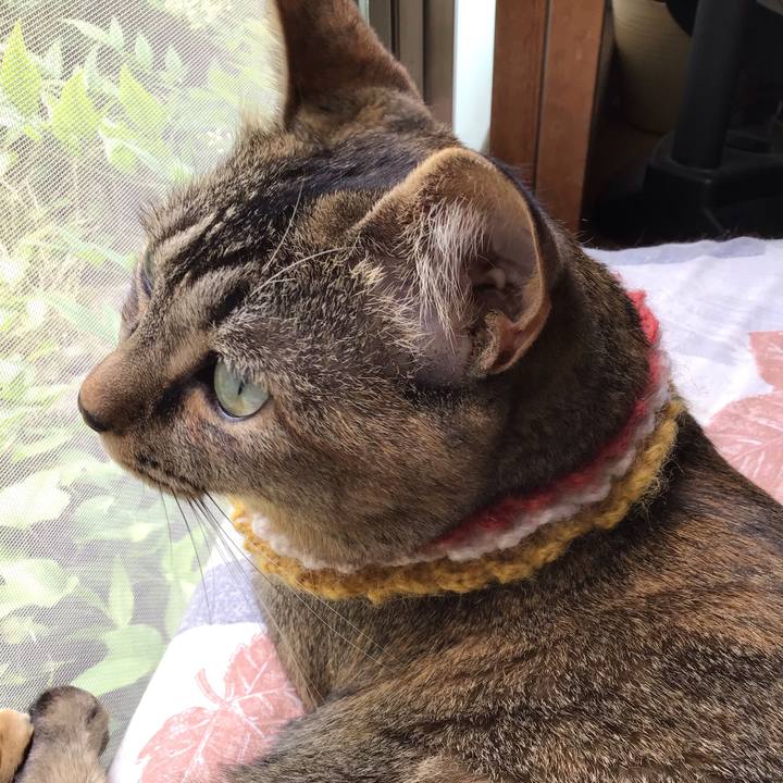 2143b873 b347 4d5c a88c a51ea23ef04a 1623469326357