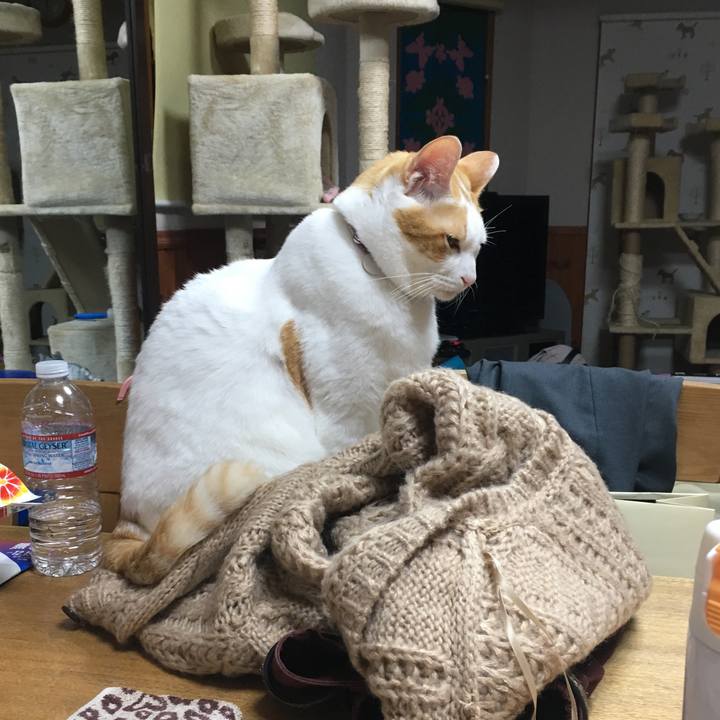 2143f8aa c2a6 486d 9199 0b567a3d7fc9 1545222470032