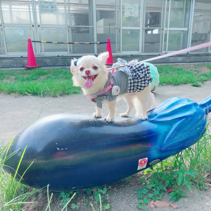 21442840 fbf8 40f2 be51 fe1c98a25a81 1691476005483