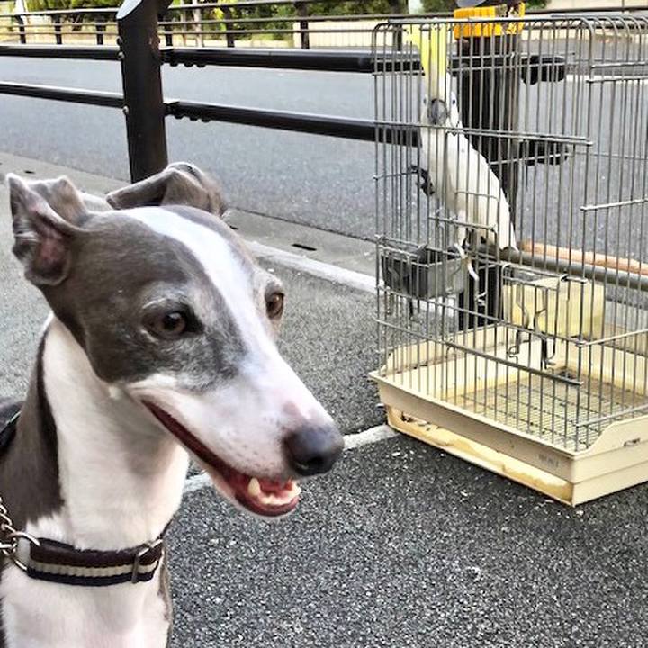 214460dc 5617 4a51 82ea 639723eaee6e 1531920721938