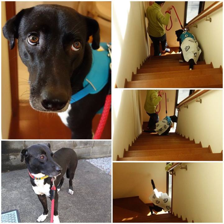 21447f50 d5b6 4066 943a acb401a8fa78 1611554589034