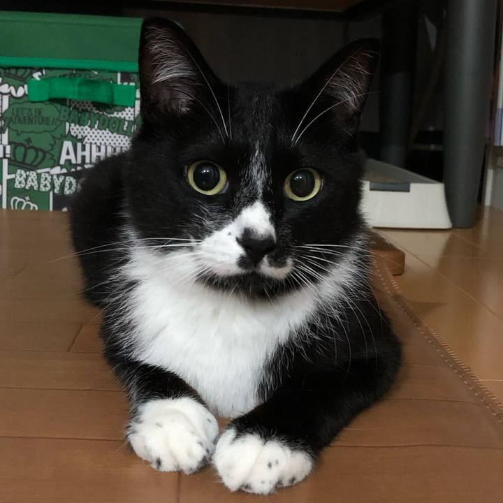 21448d0d 3ed4 4ff8 a428 23ea07417566 1563165102429