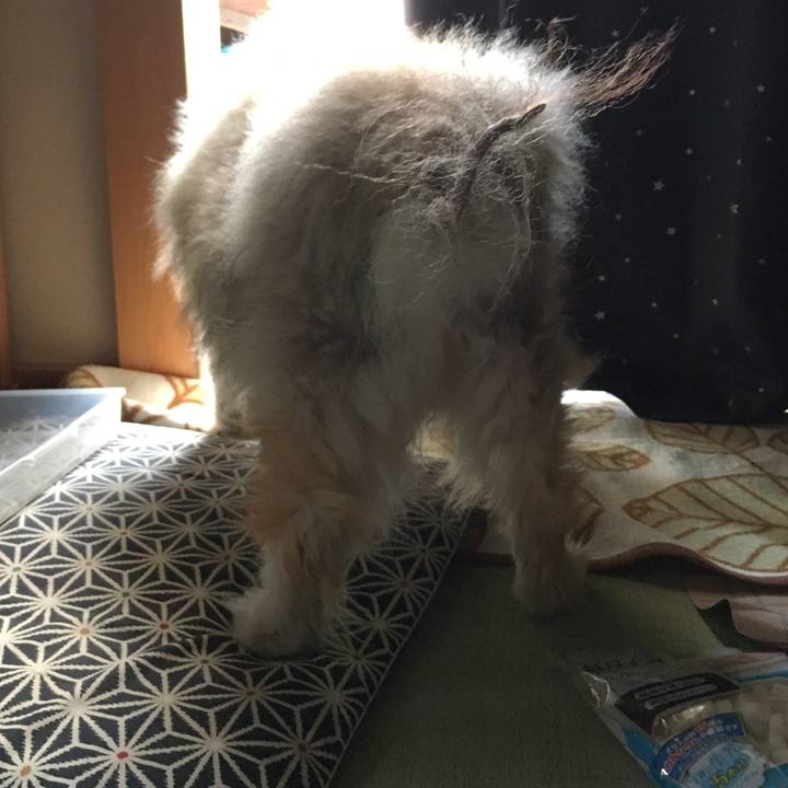 21448d5f 981a 4fd1 a538 cf5a2b04bdd7 1607400888622