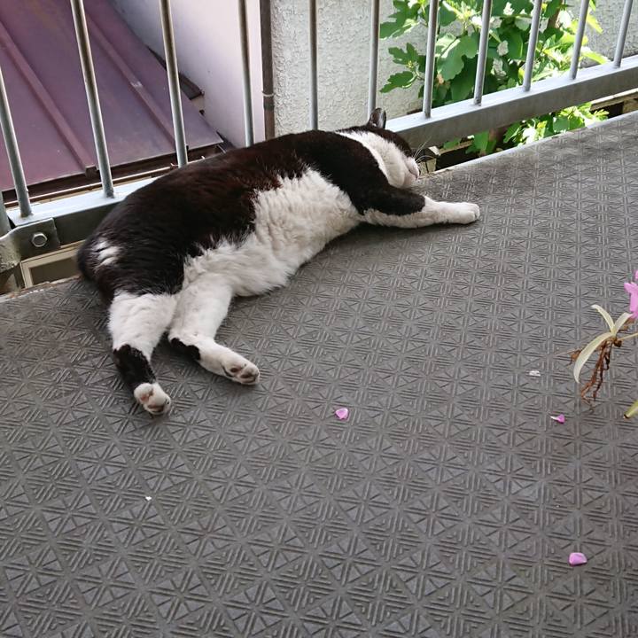 2144a75d 9864 44d8 8e36 6541b8321336 1558137640615